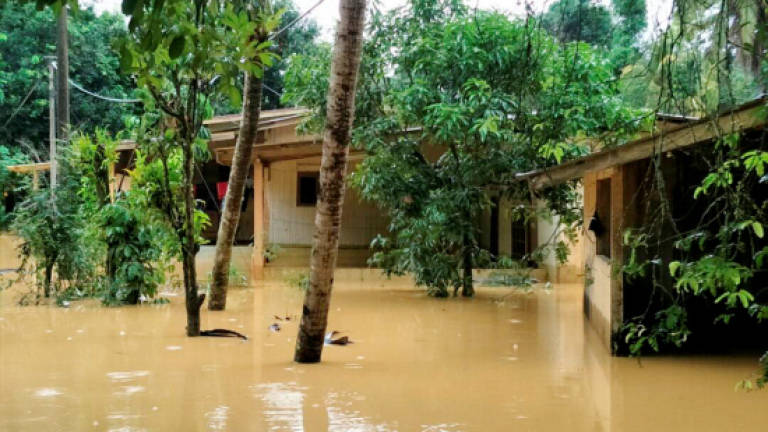 100 students stranded in Kampung Limau Kasturi