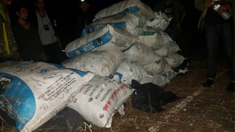 Thai police foils attempt to smuggle 700kg of ketum leaves