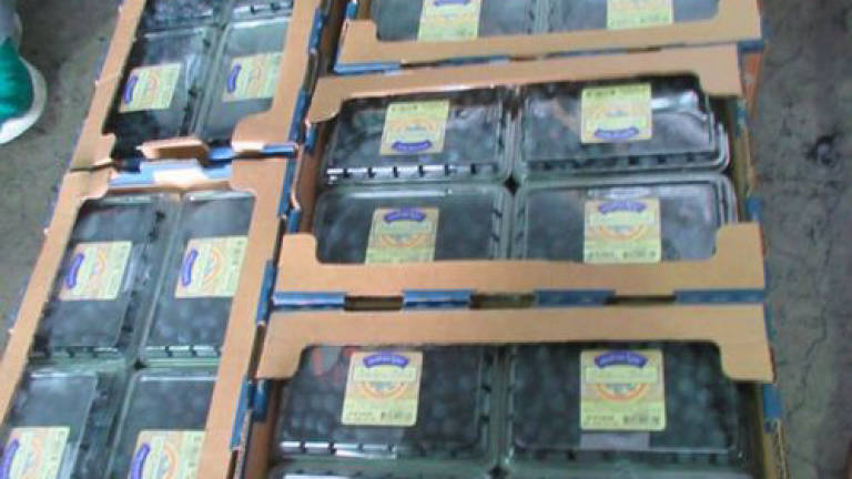 Imported blueberries, jams from Europe found to have excess radioactive substances
