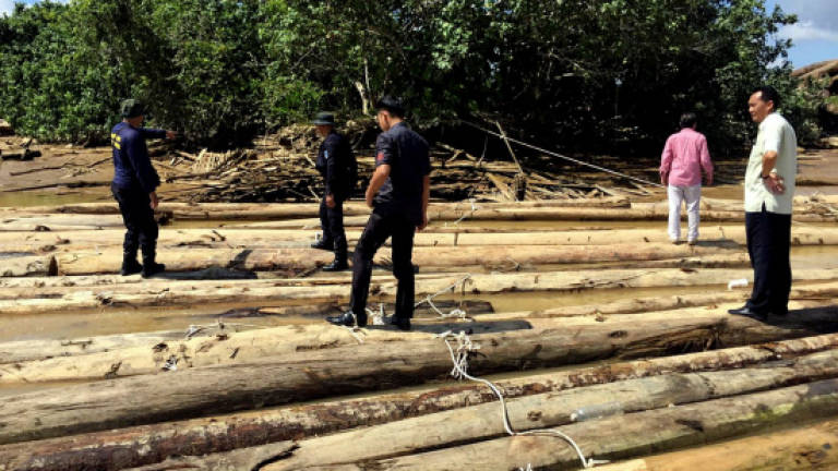 Marine police seize 160 logs worth RM55,000 in Sibu
