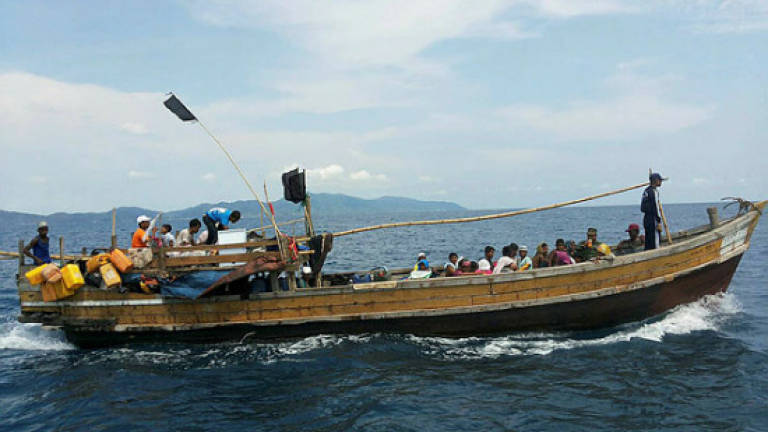 Dozens of Rohingya come ashore in Indonesia