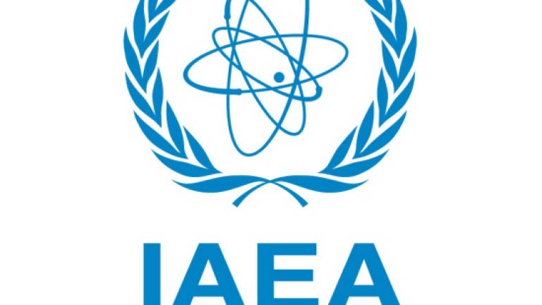 Iran discuss nuclear ships plan with IAEA chief