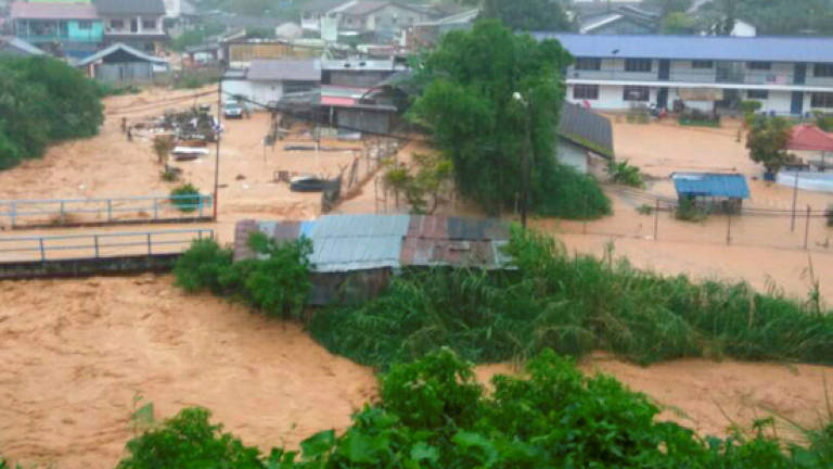 32 affected as flash flood hits Cameron