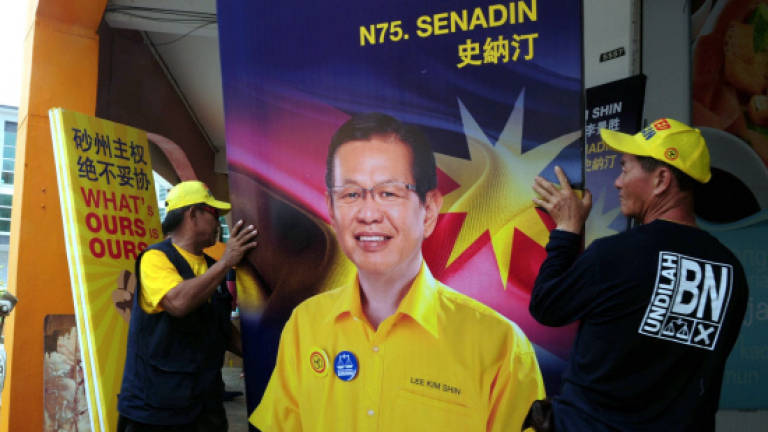 Assess my achievement, says Senadin BN candidate
