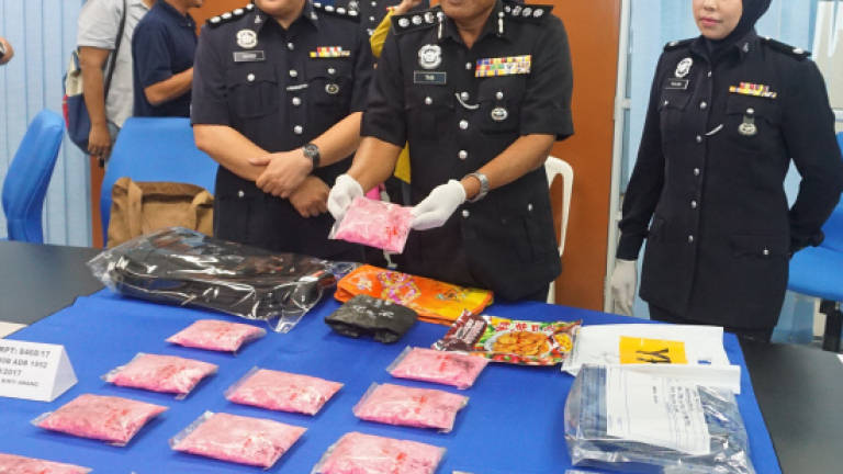 Police break up drug wholesaling gang in Johor