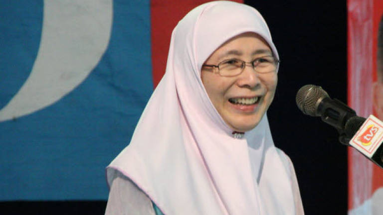 Selangor NGOs slam PKR, DAP for nominating only Wan Azizah for MB post
