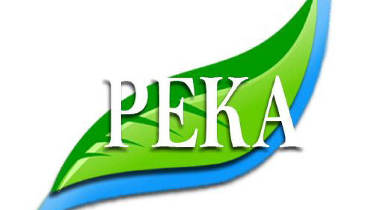 Peka claims logging now shifting to eco-tourism area in Merapoh