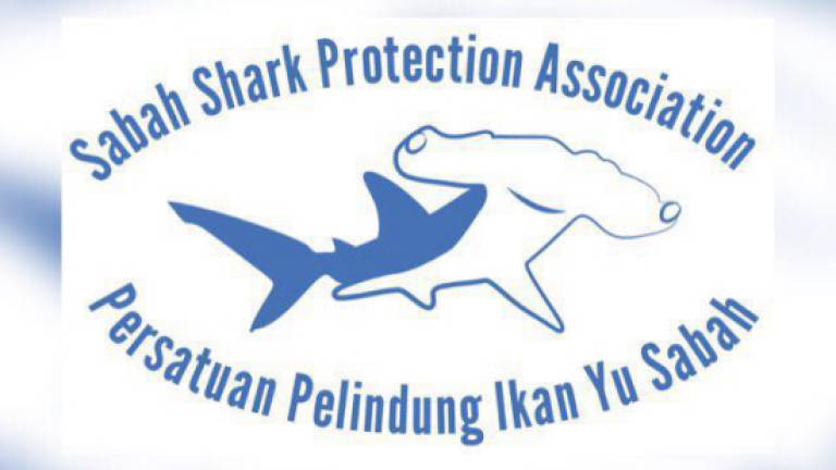 SSPA rolls out key strategies for shark and ray conservation