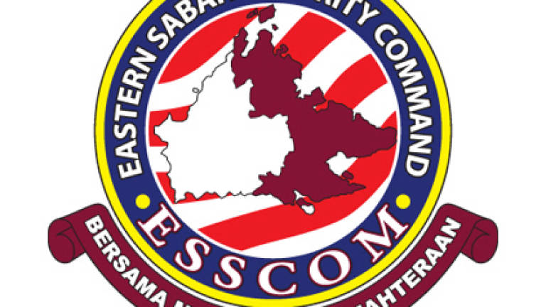 Esscom Special Joint Ops nabs 15 illegals in Felda Selamat