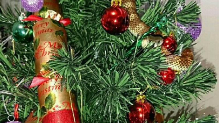 Woman finds snake curled up in Christmas tree