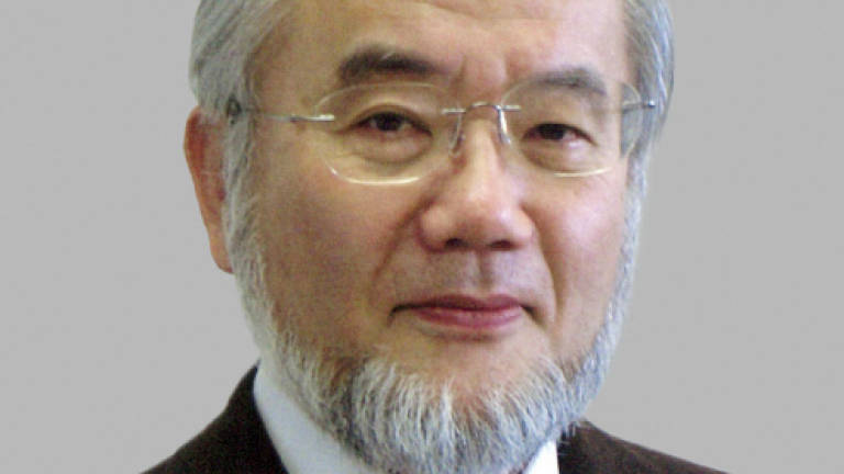 Japan's Ohsumi wins Nobel Medicine Prize for work on cell 'recycling'
