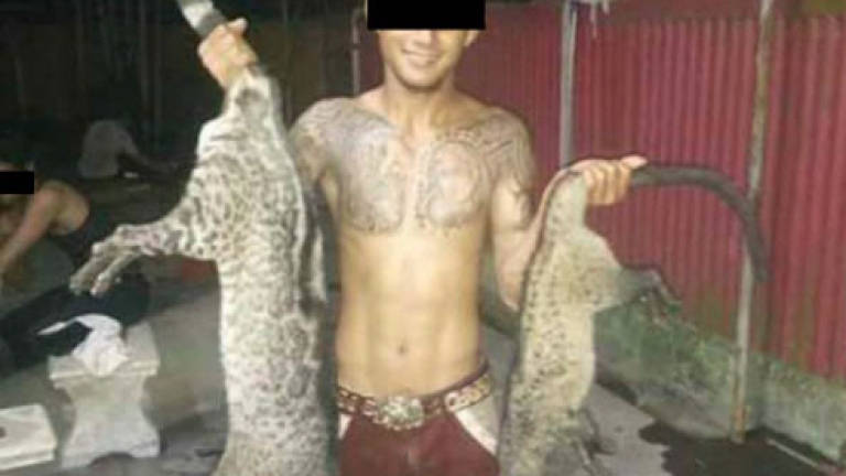 Wildlife hunting and poaching goes on Facebook