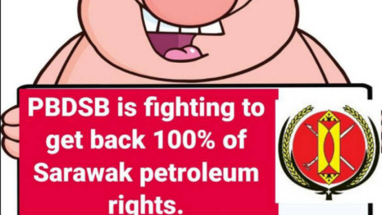 PBDSB mascot: Pig symbolises unification of Dayak