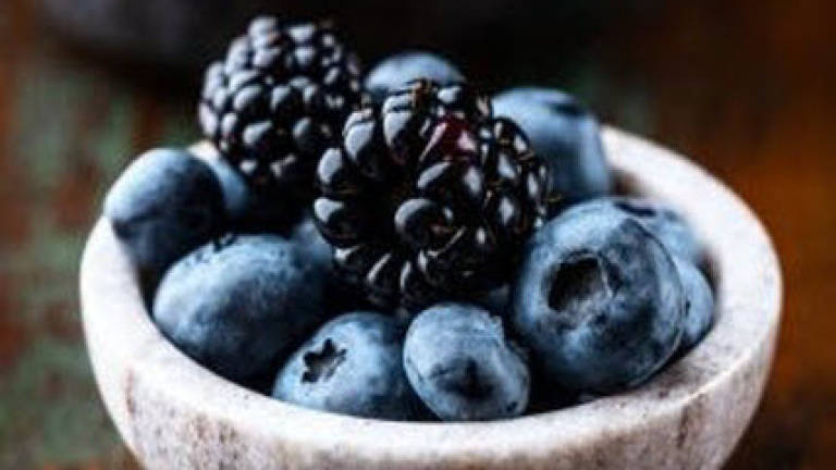 Wild blueberries can neutralise a high-fat diet