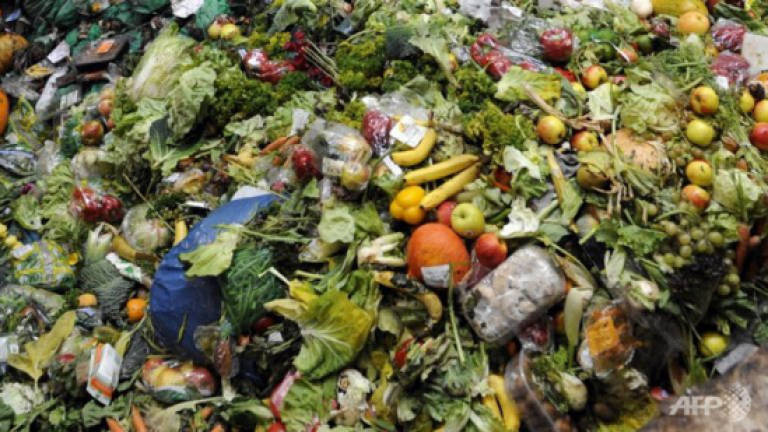 Malaysians waste 15k tonnes of food daily