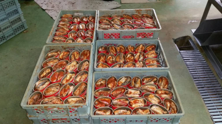 RM1b fake and harmful food items seized