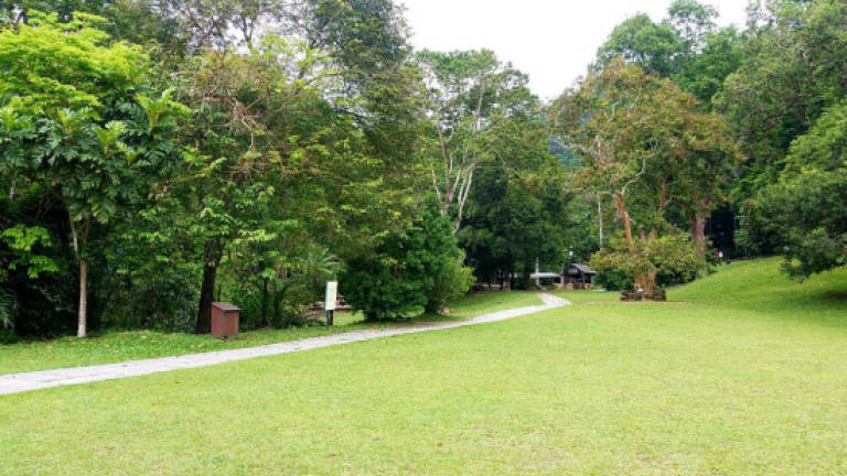Move to make Penang Botanical Gardens world-class feature, says state govt (Updated)