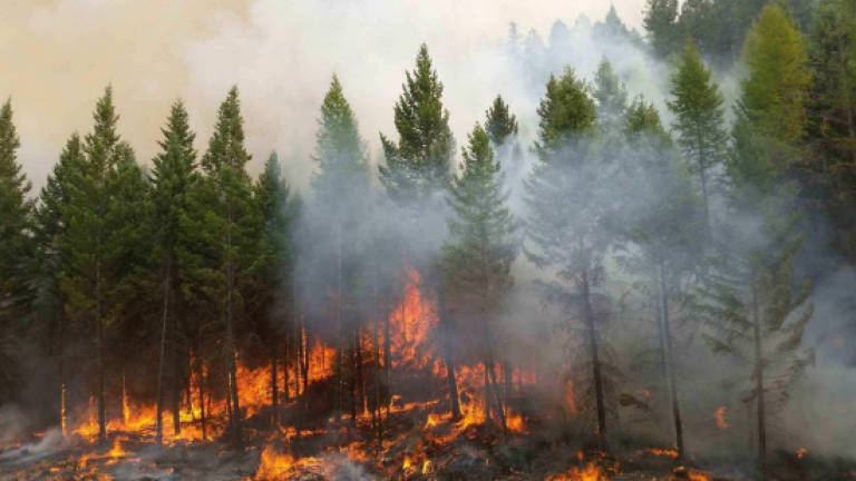 Fires in US state of Washington largest in its history