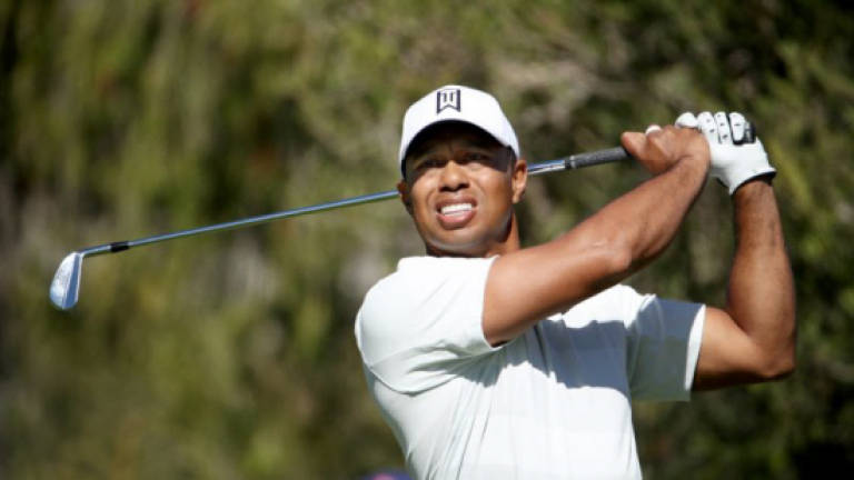 Woods, Stricker named vice captains for Ryder Cup