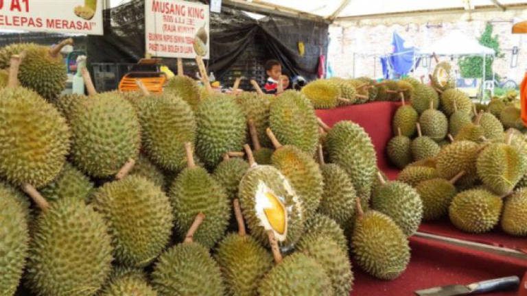 Durian as valuable as iPhone X in China: Ahmad Shabery