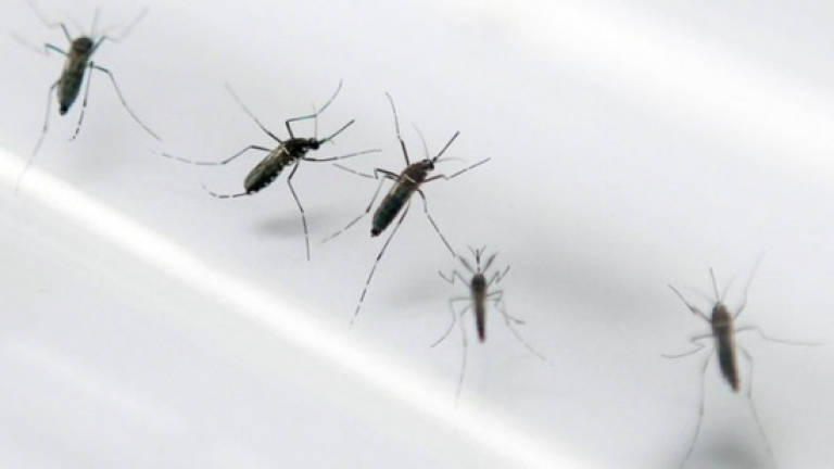 First Zika-linked deaths reported in Colombia