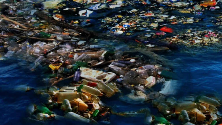 Pacific plastic dump far larger than feared: Study