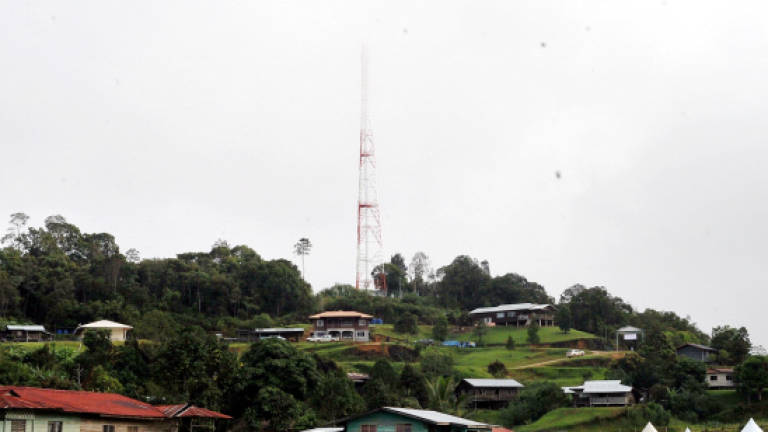 Sacofa: Telco tower EMF emission harmless