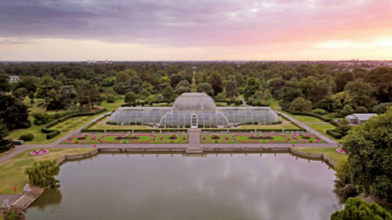 Royal gardens of Europe: A treetop walkway at Kew Gardens, London