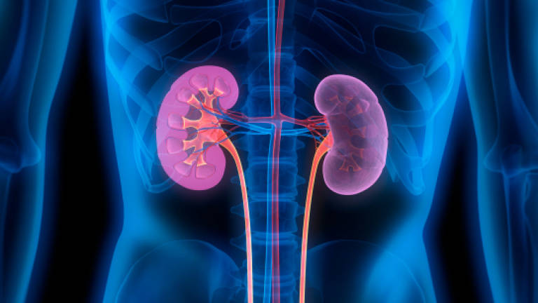 Facts on chronic kidney disease