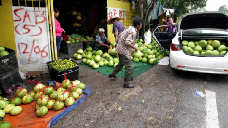Fertilisers and rainfall patterns to blame for pomelo price increases