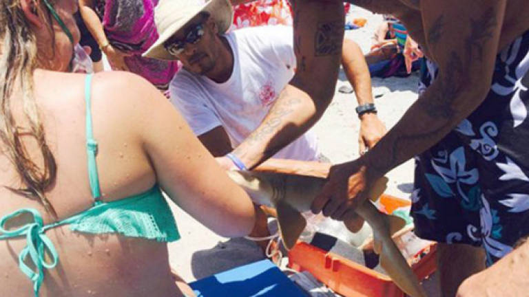 US woman rushed to hospital with shark stuck to arm