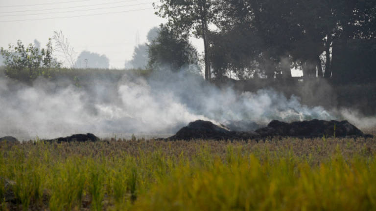 Delhi braces for pollution 'airpocalypse' as smog looms