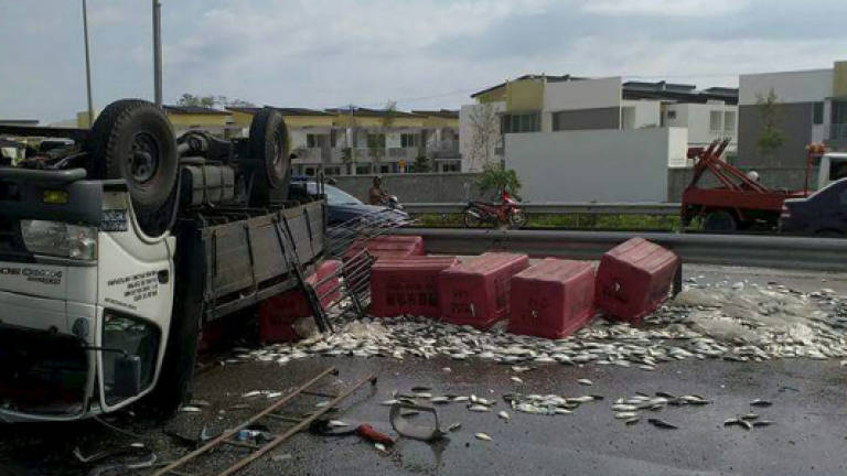 Lorry carrying fish flips over on NSE, causes 6km traffic crawl