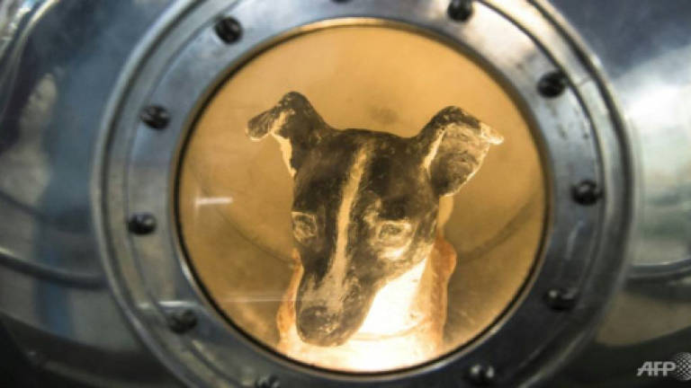 Dog star: Scientist recalls training Laika for space