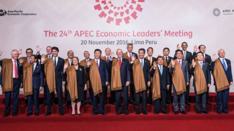 Asia-Pacific leaders vow to fight protectionism