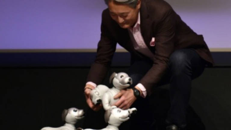 Sony revives robot pet dog
