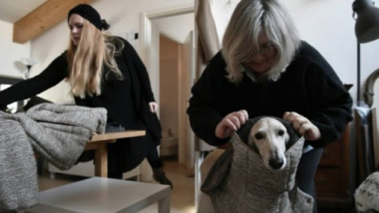 Canine couture cuts a dash in Italy's fashion capital