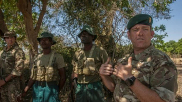 Malawi turns to British troops in poaching war
