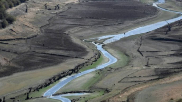 Spain, Portugal struggle with extreme drought