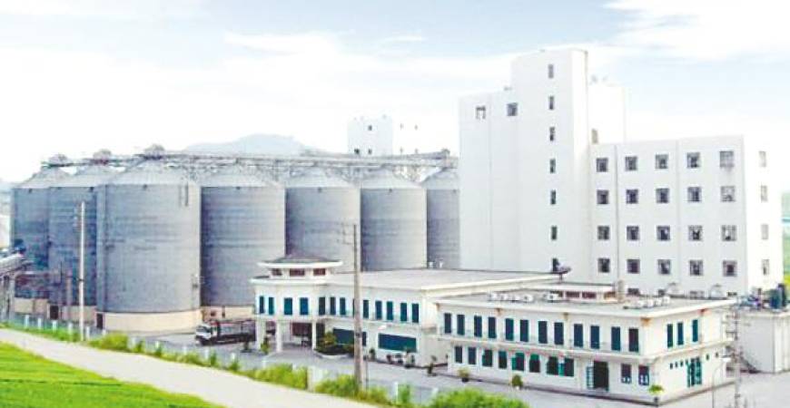 MFM’s Vimaflour in northern Vietnam completed its installation of 18 additional wheat silos with an extra storage capacity of 65,000 tonnes in FY23. – MFM website pic