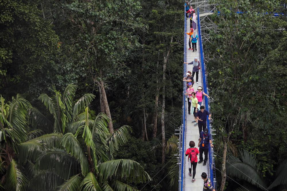 Visitors walk on the Forest Skywalk in Kuala Lumpur. People visiting the Forest Skywalk will find themselves suspended up to 50 meters above the Forest Research Institute Malaysia (FRIM) forest//theSunpix