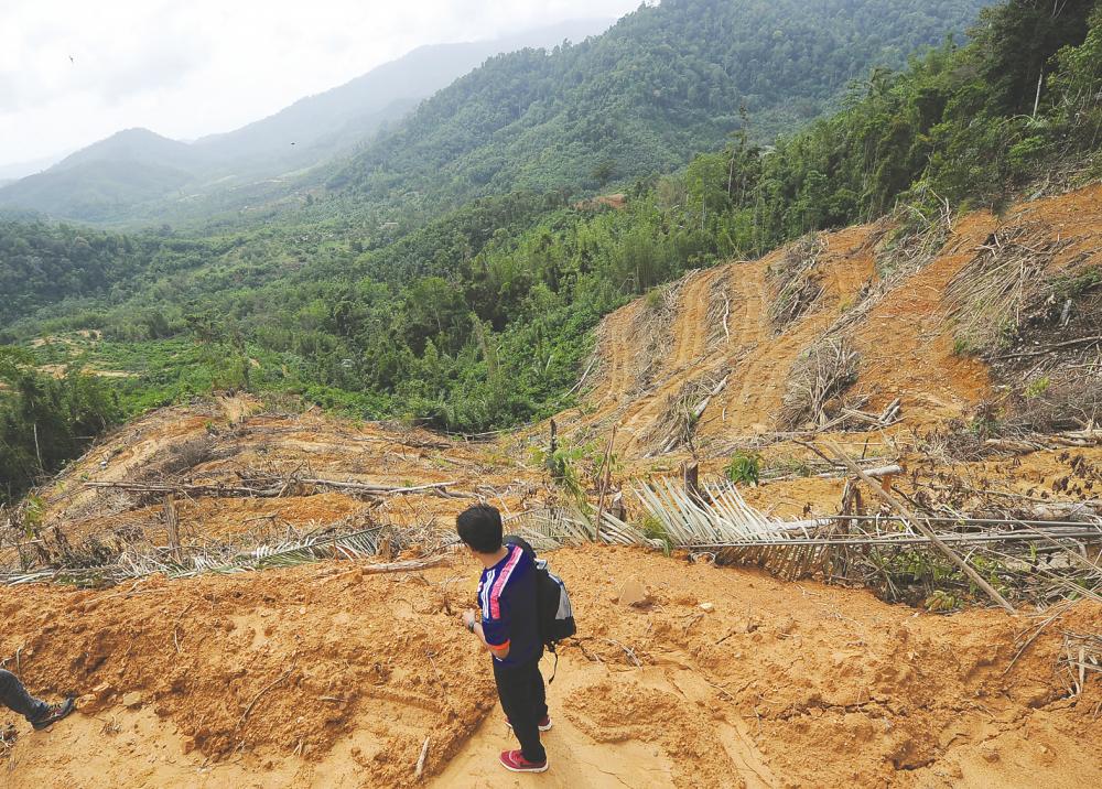 State governments assert they need to exploit natural resources, through logging in particular, to generate revenue. They have been urged to engage with all stakeholders so that alternative views on raising revenue including payment for ecosystem services can be harnessed. – SUNPIX
