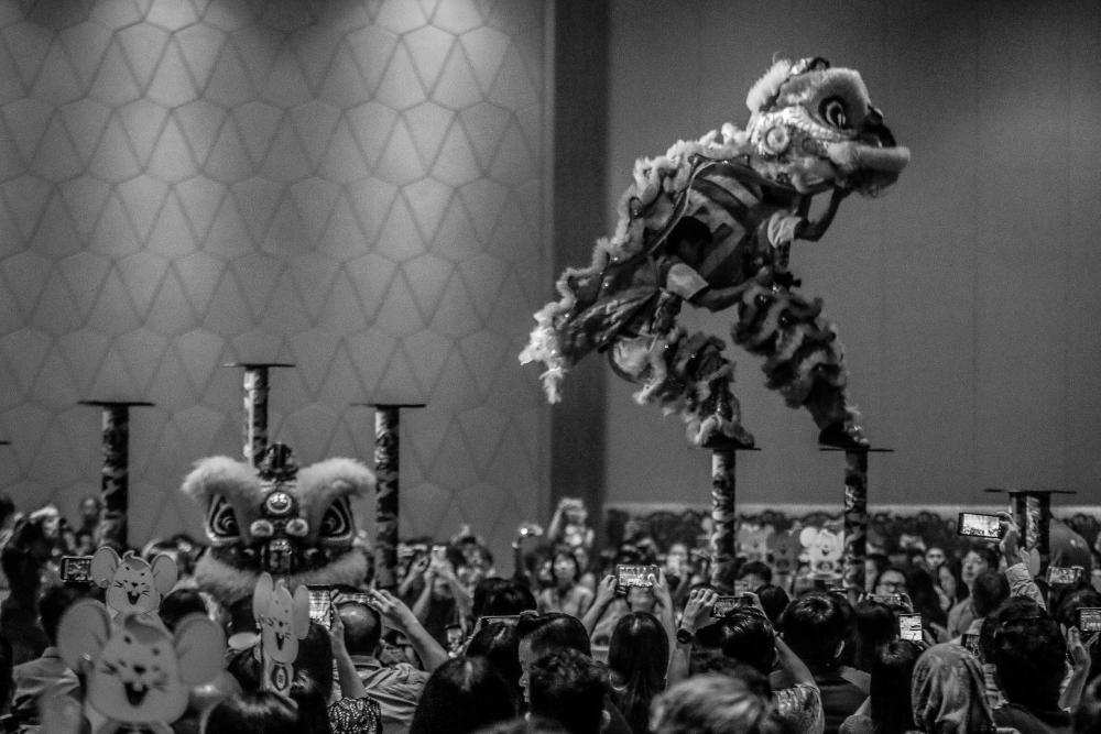 $!Lion dances are commonly seen China, Taiwan, Japan, Korea, Thailand, Indonesia, Malaysia, Singapore, and Vietnam. Each country has different dance patterns and styles.