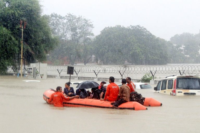 Crocodiles have been spotted hunting in the flooded streets of Vadodara. — AFP