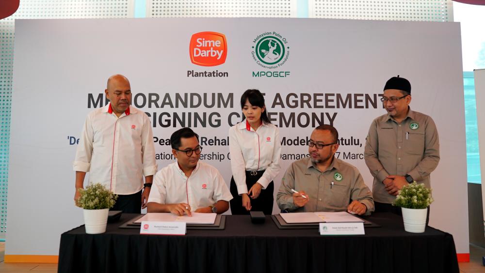 (From the back, left) Sime Darby Plantation (SDP) Group Managing Director, Mohamad Helmy Othman Basha and Zamakhshari (back, right) looks on as Rashyid (left) and Member of the MPOGCF Board of Trustees Datuk Abdul Rashid Idris (right) sign the Memorandum of Agreement for the parties’ collaboration on peatland rehabilitation in Lavang Estate, Bintulu, Sarawak.