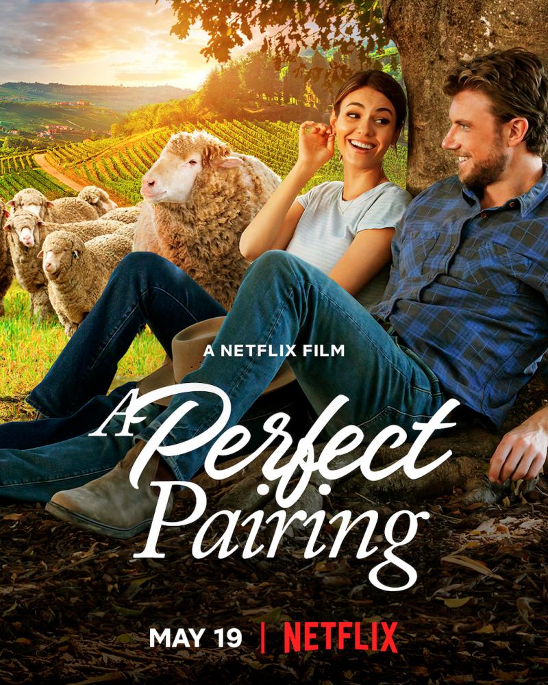A Perfect Pairing has all of the classic elements of a rom-com. – IMDB