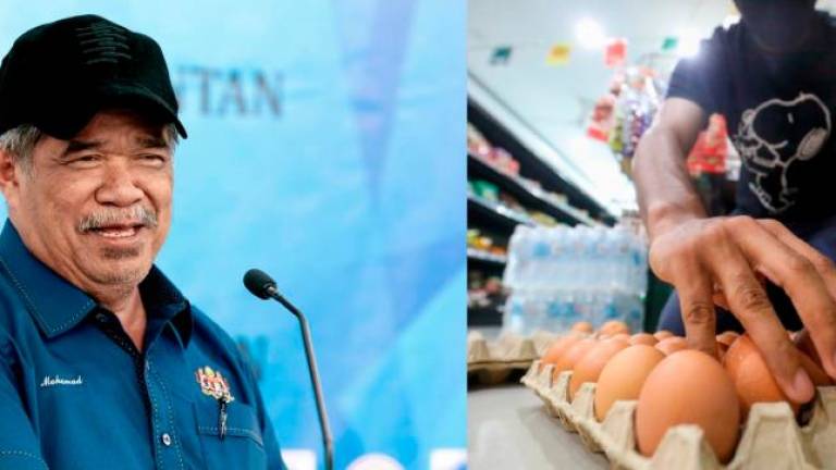 Left pix: Bernama/Right pix: HAFIZ SOHAIMI/THESUN