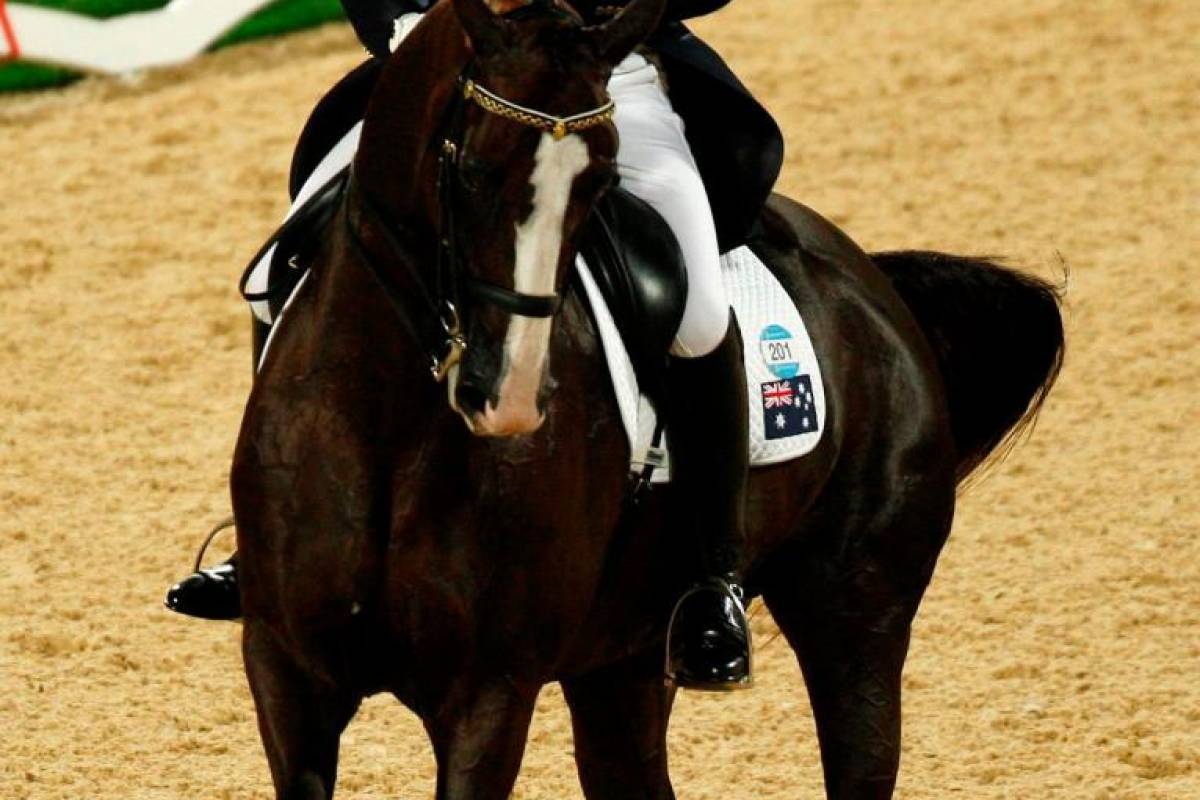 Australian Olympic equestrian suspended over horse-whipping video