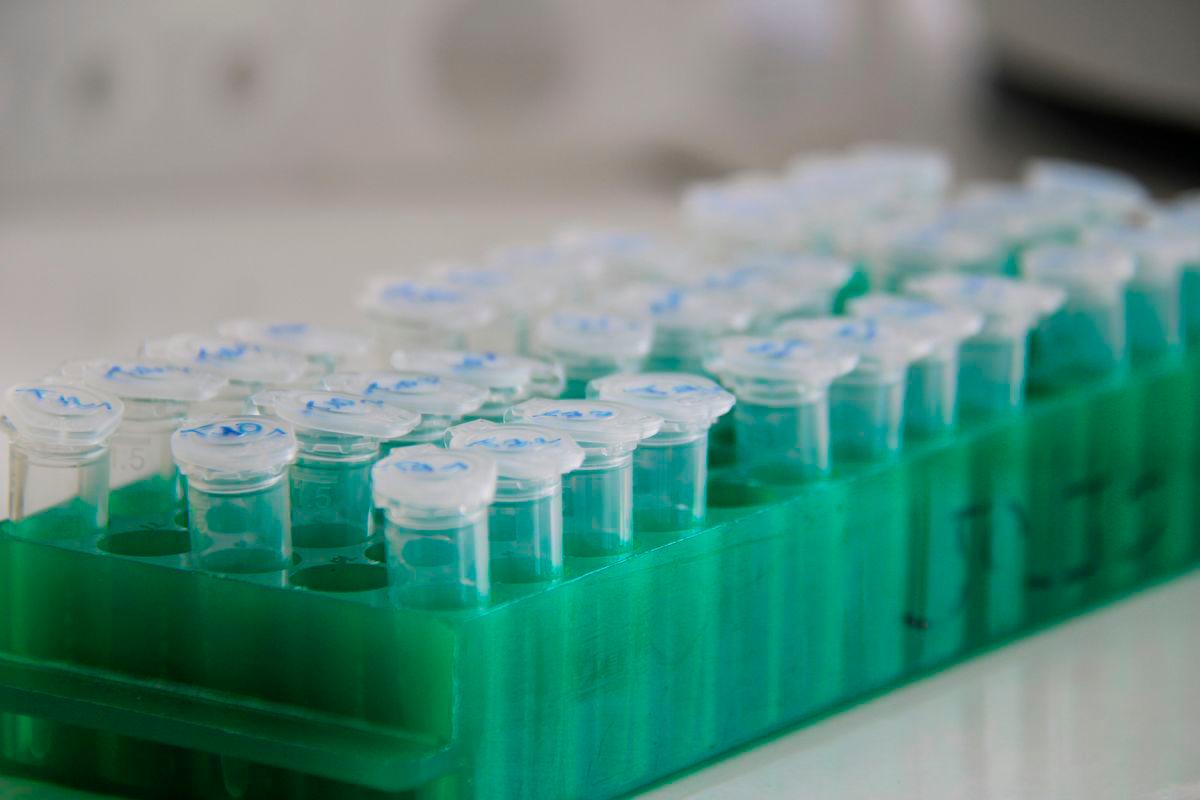 Chinese researchers charged with smuggling fungus into US