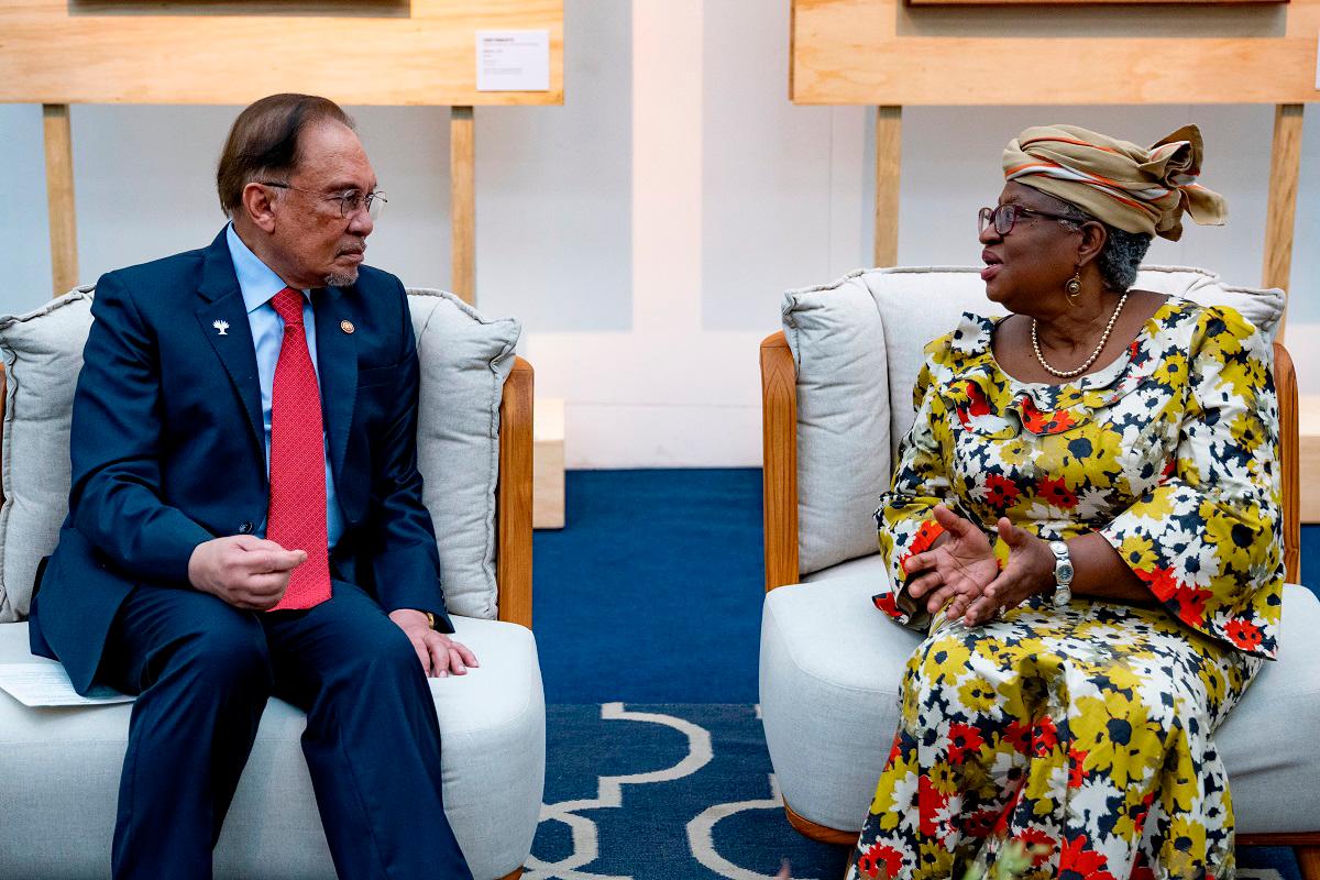 WTO reform crucial for developing nations policy space says PM Anwar